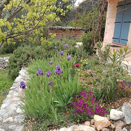 La Farigoulette Bed & Breakfast Lorgues Exterior photo